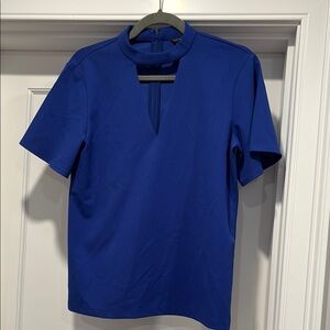 Ann Taylor v-neck Blue Short Sleeve Shirt